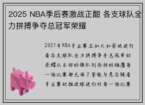 2025 NBA季后赛激战正酣 各支球队全力拼搏争夺总冠军荣耀
