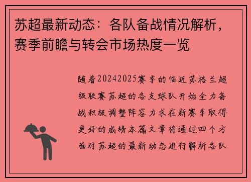 苏超最新动态：各队备战情况解析，赛季前瞻与转会市场热度一览