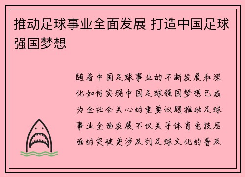 推动足球事业全面发展 打造中国足球强国梦想