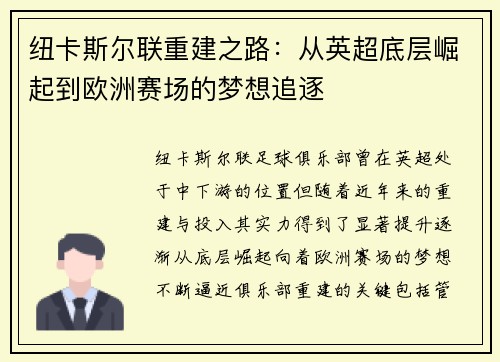 纽卡斯尔联重建之路：从英超底层崛起到欧洲赛场的梦想追逐