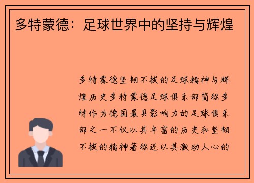 多特蒙德：足球世界中的坚持与辉煌