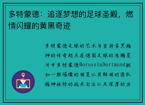 多特蒙德：追逐梦想的足球圣殿，燃情闪耀的黄黑奇迹