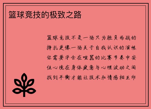 篮球竞技的极致之路