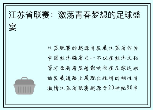江苏省联赛：激荡青春梦想的足球盛宴